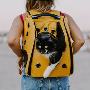 Sac à dos pour chat